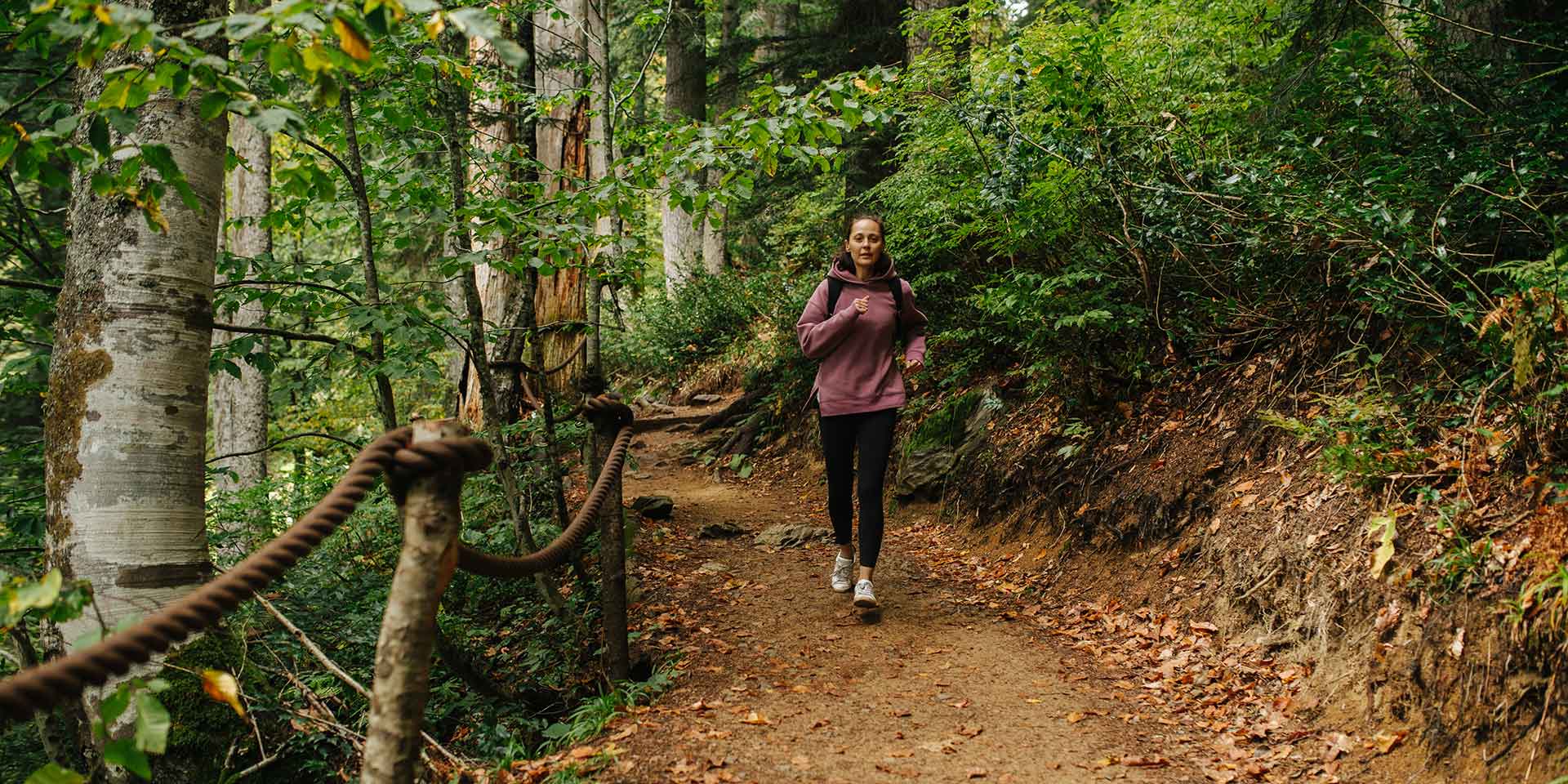 Your Comprehensive Guide To a Trail Run
